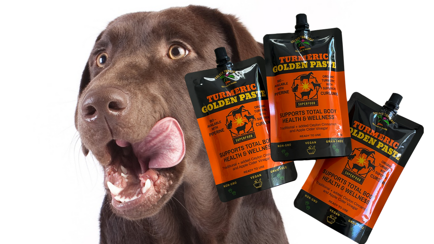 turmeric for dogs nz